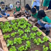 Montes Claros se Torna Exemplo Nacional em Educação Alimentar: Conheça o Projeto que Está Transformando Vidas