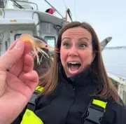 Noruega no Brasil: Ministra desembarca para impulsionar exportação de frutos do mar