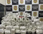 Operação apreende 138 kg de super maconha em caminhão na Zona Norte de SP