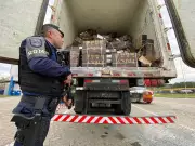 Operação da PM desmonta quadrilha e apreende 15 toneladas de carne roubada em galpão de Jacareí