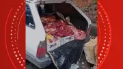 Operação no ES apreende 400 kg de carne de cavalo e desmata cemitério clandestino | G1 ES