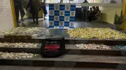 Operação policial desmonta depósito de drogas em Teresópolis: 12 kg de entorpecentes apreendidos