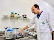 Parente de água-viva se torna 'guardião' da qualidade da água em Piracicaba: entenda a inovação