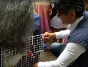 Patos e ganso são resgatados e devolvidos ao Lago do Parque Guinle no Rio