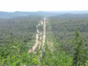 Petrolina em Destaque: Pesquisa Revela Cenário Nacional de Espécies Invasoras no Brasil