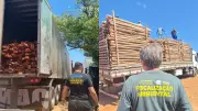 Piauí Bate Recorde Histórico na Apreensão de Madeira Ilegal: 131 Mil M³ Encontrados em Caminhões