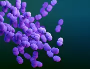 Pneumonia Bacteriana: A Doque que Tirou a Vida da Estrela Diane Keaton