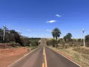 Ponte de 50 metros salva macacos ameaçados de extinção no interior de SP