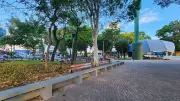 Praça Monsenhor Silva Barros ganha novo visual com plantio de árvores em Taubaté