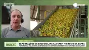 Queda nas Exportações de Suco de Laranja Abala Início da Safra Brasileira