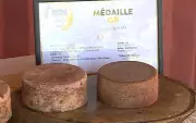 Queijo Mineiro com Açaí e Beterraba Conquista Ouro no Oscar dos Laticínios na França