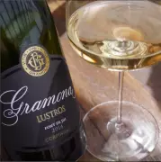 Revolução no Espumante: Como o Champanhe Francês Está Transformando os Vinhos da Espanha