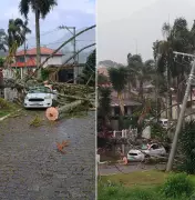 Árvores em Risco: Praça Getúlio Vargas Tem Acesso Interditado em Nova Friburgo