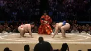 Sumô na Inglaterra: Tradição Japonesa Conquista Solo Britânico em Evento Histórico