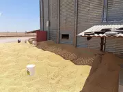 Tragédia em Silo de Soja: Acidente em Fazenda na Bahia Deixa um Morto