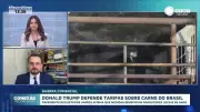 Trump Anuncia Tarifas sobre Carnes Brasileiras: Entenda o Impacto no Agronegócio