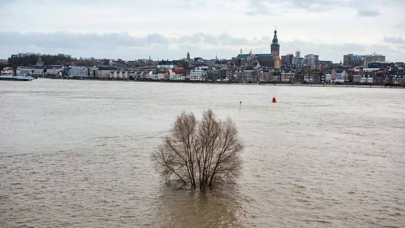 2026: O ano terrível para a humanidade segundo físico Heinz von Foerster