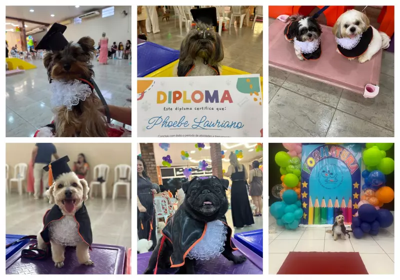 53 cães formam-se em creche pet com cerimônia de colação de grau no AC