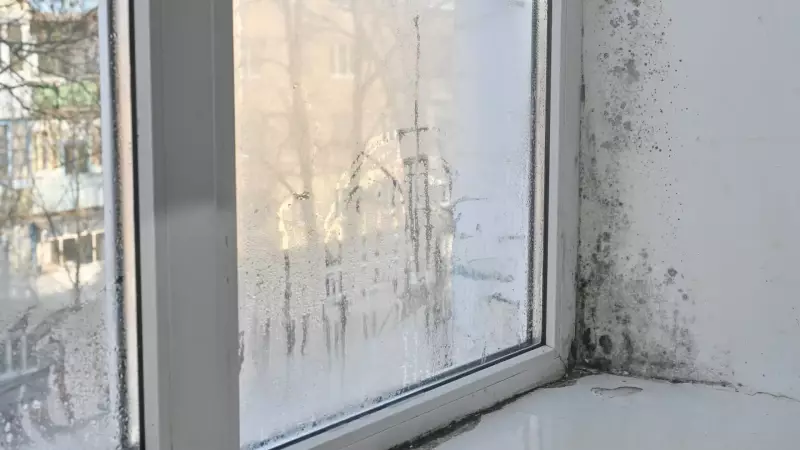 6 dicas para eliminar umidade em casa sem gastar com desumidificadores