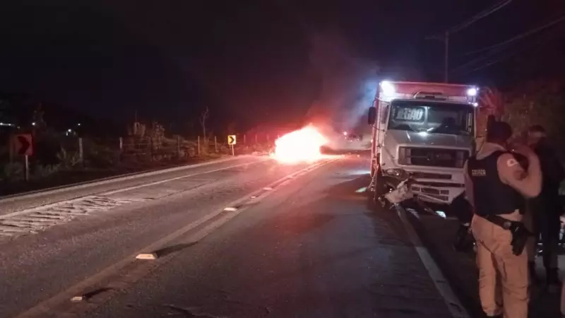 Acidente entre caminhão com 35 bezerros e caminhonete causa fogo na BR-259