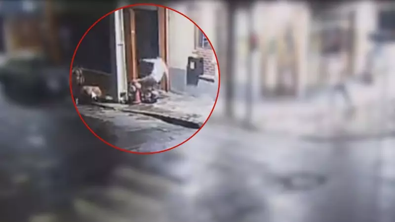 Advogado de 25 anos morto a tiros em briga no Centro de Porto Alegre