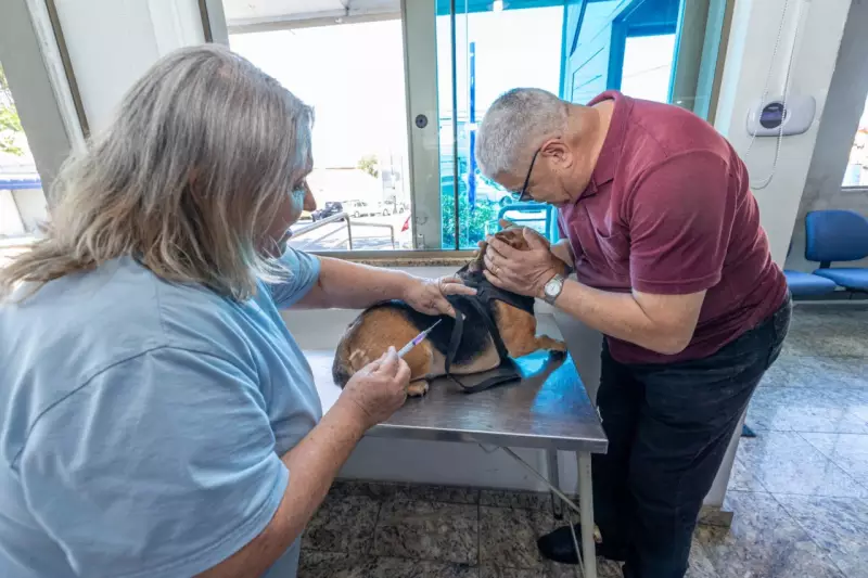 Alerta em Jundiaí: Gato Confirma Caso de Raiva Após 42 Anos; Saiba Como Proteger Seu Pet