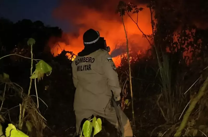 Amapá celebra menor número de queimadas em 3 anos: bombeiros revelam dados promissores