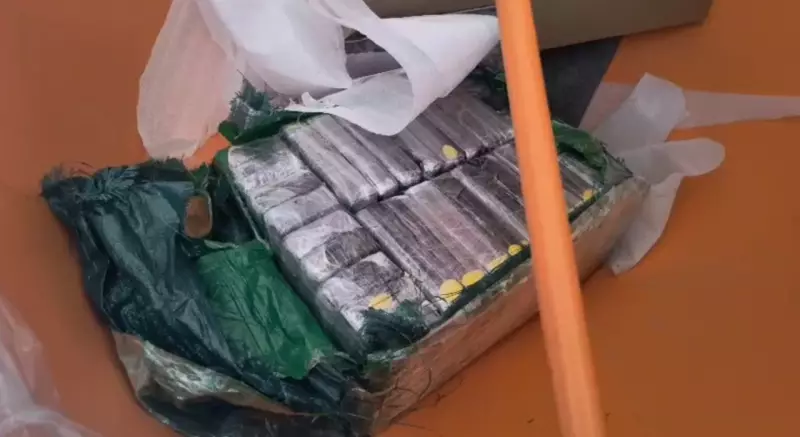 Apreensão de R$ 13 mi em cocaína na Castello Branco prende motorista