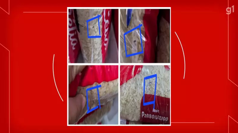 Arroz Contaminado em Escolas do DF: TCE Apura Denúncia e Cobra Respostas do Governo