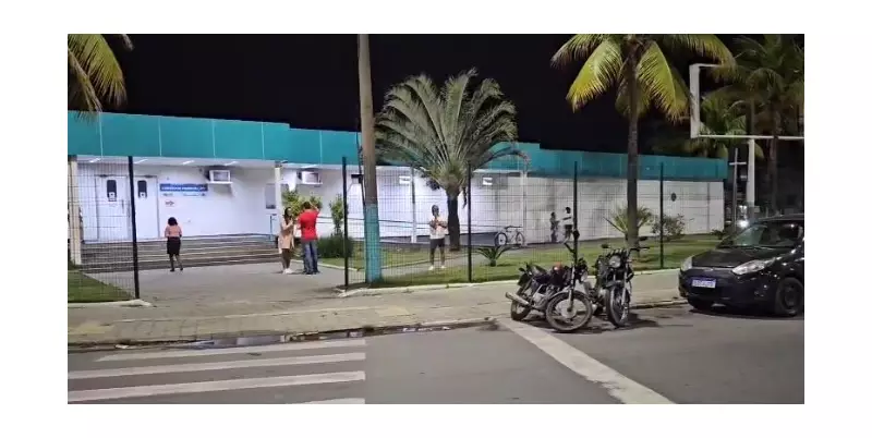 Ataque de Abelhas em Três Rios: Uma Vítima Segue Internada em Estado Grave