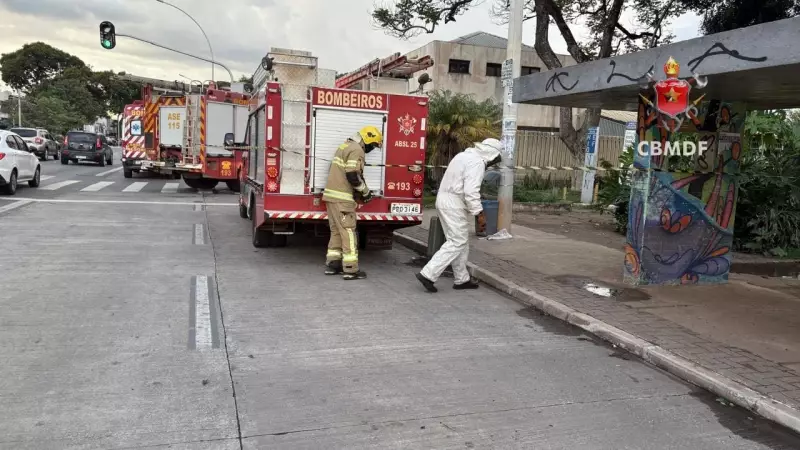Ataque de abelhas na Asa Sul de Brasília: 3 hospitalizados