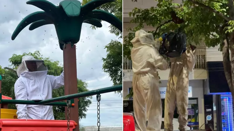 Ataques de insetos crescem 55,4% em MT; Cuiabá lidera ocorrências