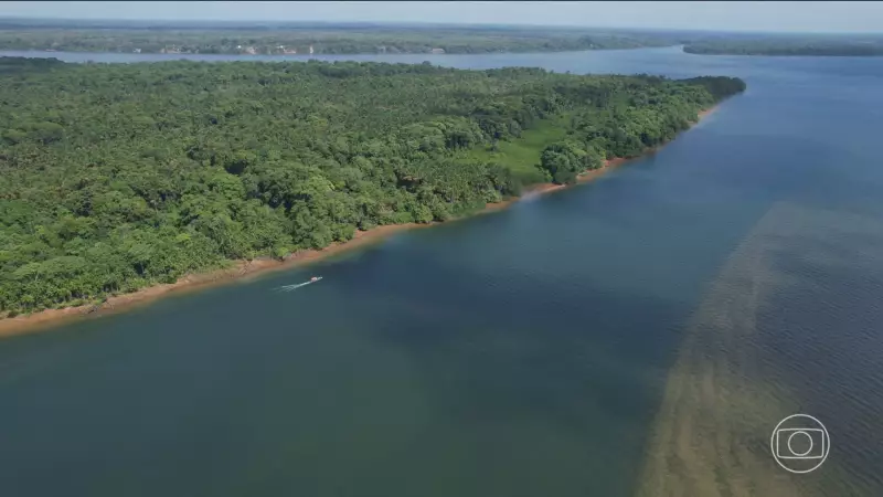 Brasil Lidera Proposta Billonária para Proteger Florestas Tropicais em Encontro Histórico em SP