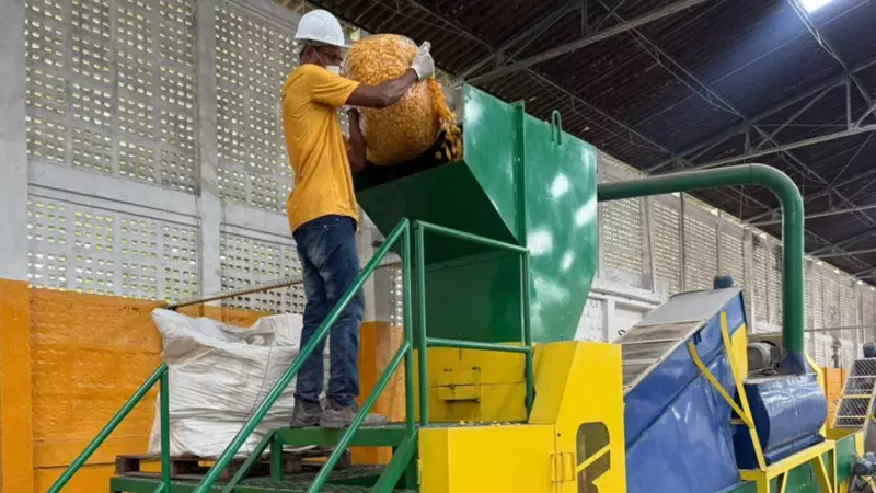 Brasil Nutri Ambiental transforma 255 mil toneladas de resíduos em energia