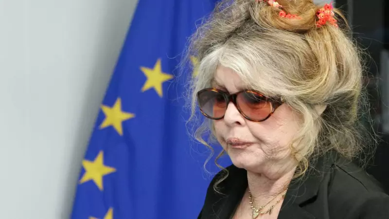 Brigitte Bardot, 91, internada novamente na França após cirurgia