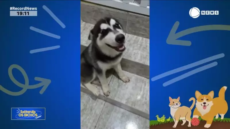 Brisa e Nicolas aprontam no Soltando os Bichos deste domingo