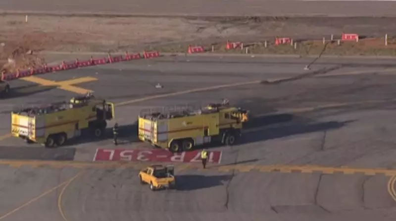 Cachorro na pista paralisa Congonhas pelo 2º dia seguido