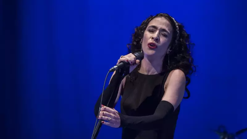 Caetano Veloso e artistas cobram regulamentação da IA na música