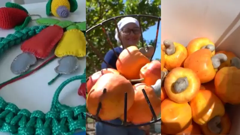Caju movimenta economia do Piauí com renda familiar e artesanato