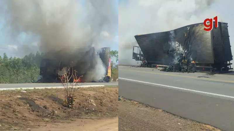 Caminhão com bananas pega fogo na BR-343 em Campo Maior