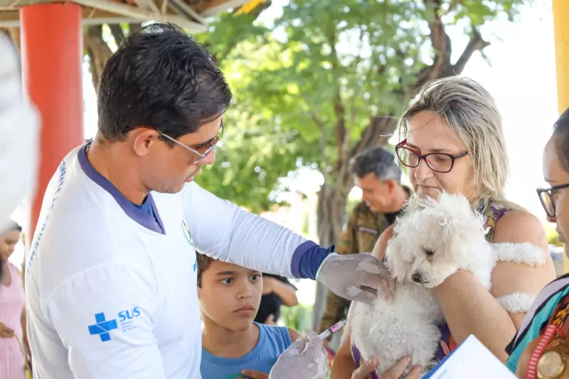 Campanha antirrábica em Petrolina: meta é vacinar 61 mil animais