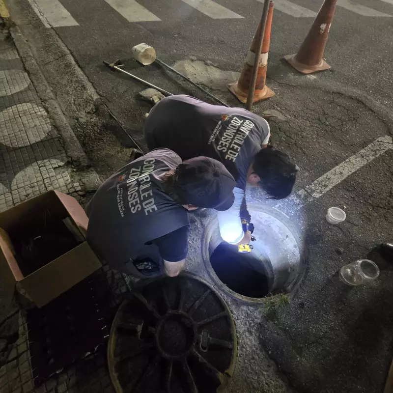 CCZ captura 20 escorpiões em ação especial em Mogi das Cruzes