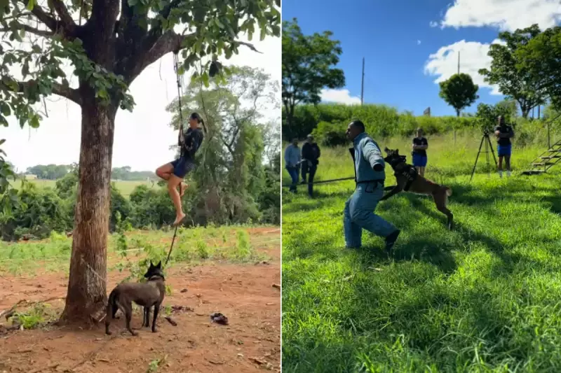 Cães do 8º Baep conquistam 6 títulos em campeonato sul-americano