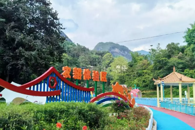 Chá milenar de Malipo vira diplomacia verde da China na COP30