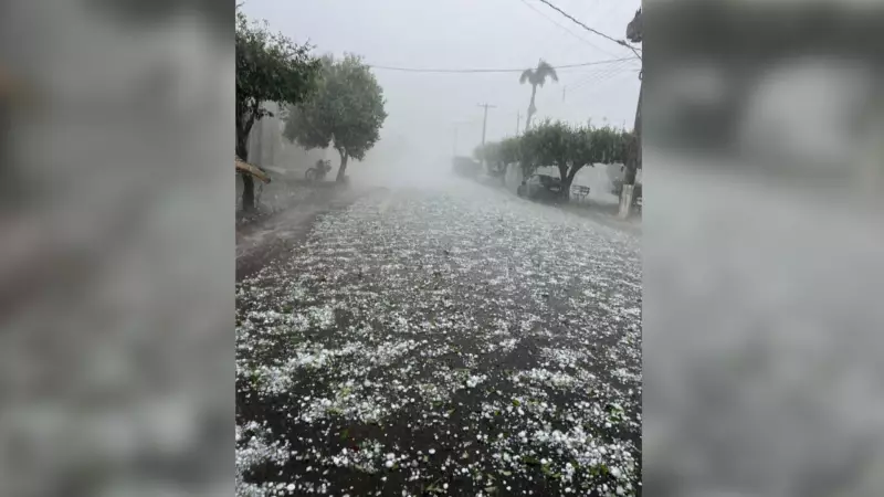 Chuva de granizo causa estragos em Palmeira D'Oeste (SP)