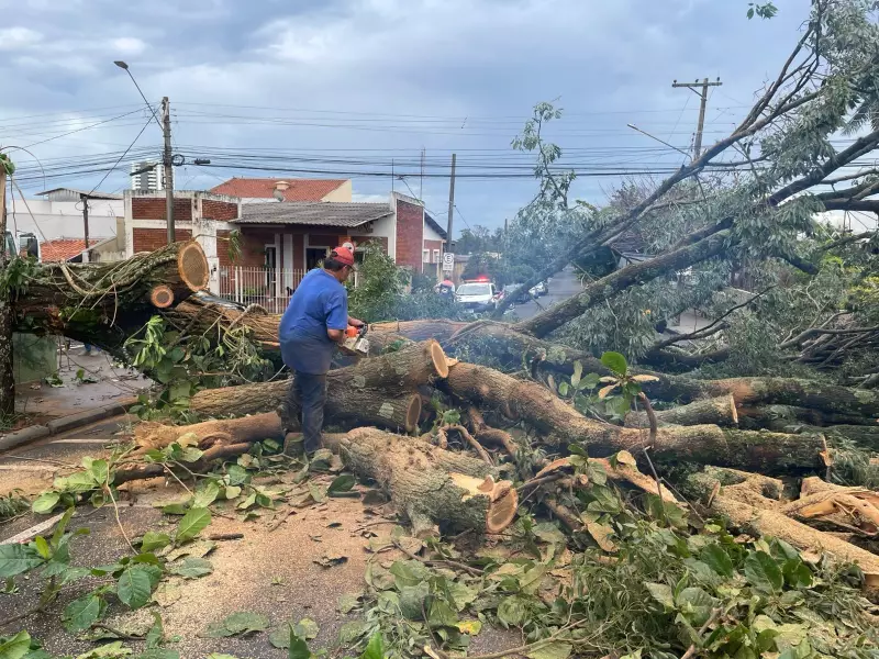 Chuva e Ventos Assolam Assis: Aulas Suspensas e Prejuízos na Cidade