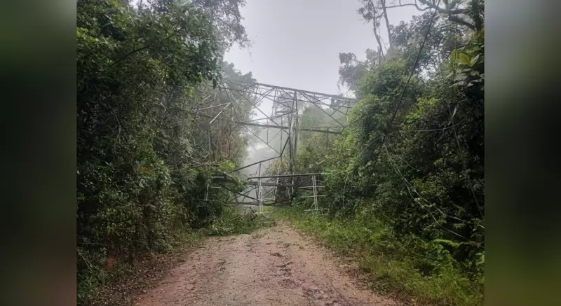 Ciclone extratropical causa ventos de 109 km/h e queda de árvores no interior de SP