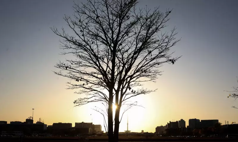 Cientista alerta: aquecimento global já atinge 1,31°C e ameaça sistemas naturais