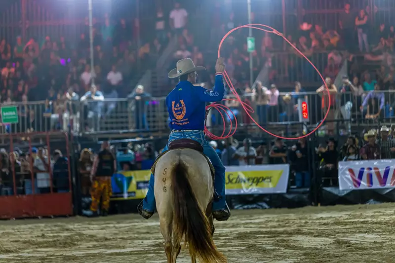 Câmara de Guaratinguetá aprova regulamentação de rodeios