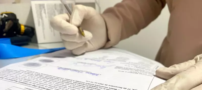 CNH Social 2026: Veja a lista completa de estados onde a carteira de motorista gratuita já foi aprovada